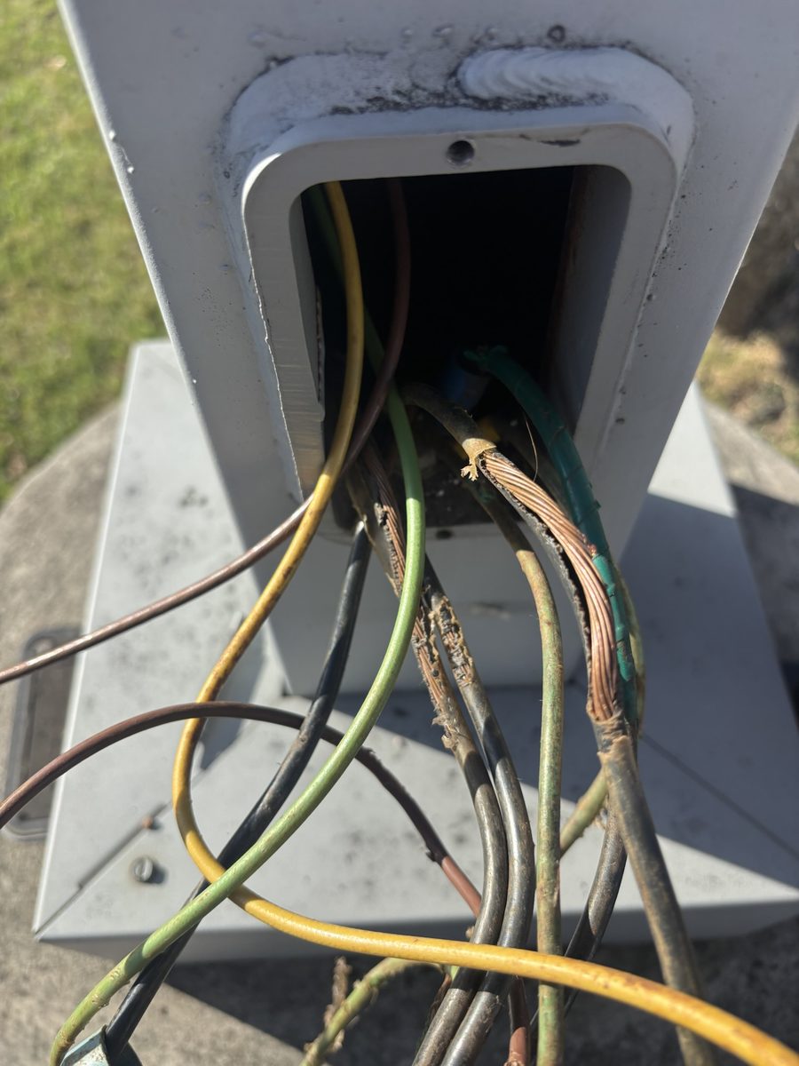 Chewed wiring pulled from a parking lot light pole hand hole
